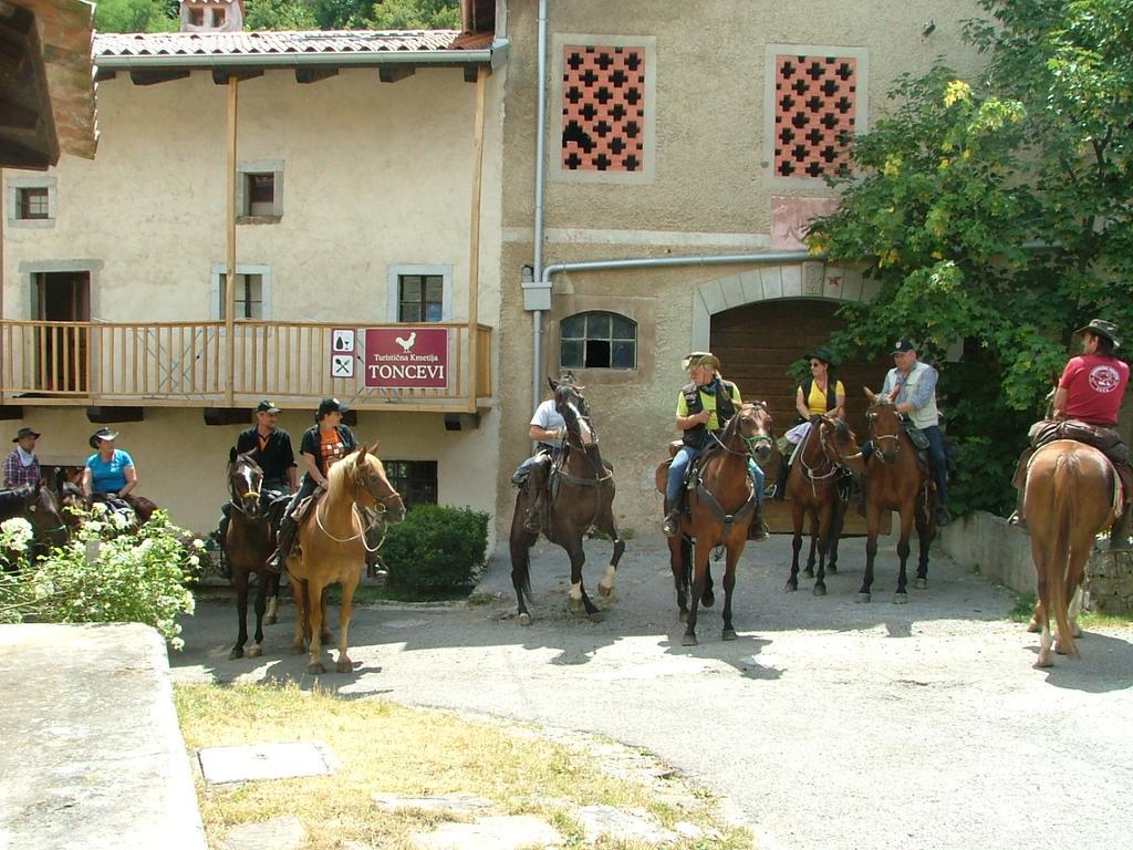 Toncevi Eco Estate Branik Exterior foto