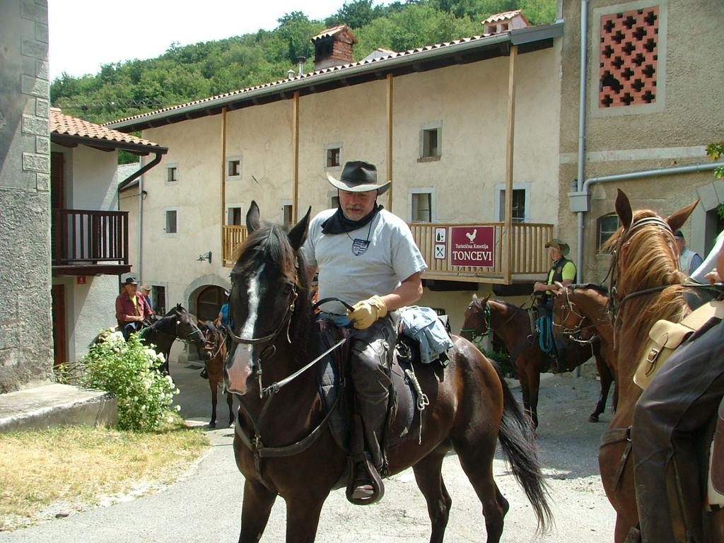 Toncevi Eco Estate Branik Exterior foto